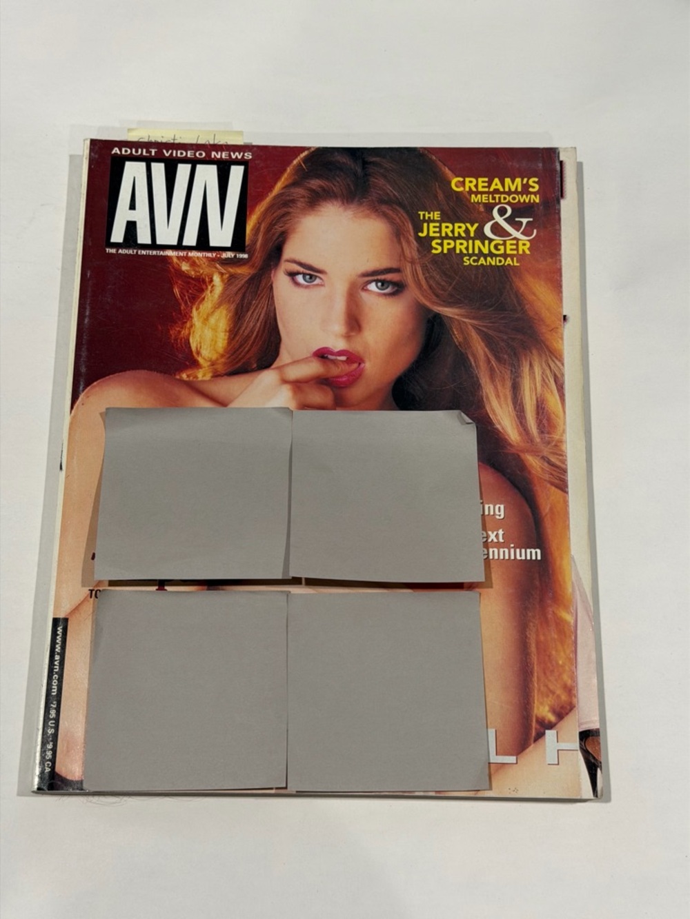 AVN Magazine Cover Featuring Woman in Bronze Hair